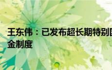 王东伟：已发布超长期特别国债资金监管办法 建立常见备付金制度