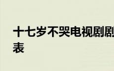 十七岁不哭电视剧剧情介绍 十七岁不哭演员表 