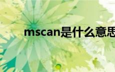 mscan是什么意思 mscl是什么意思 