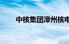 中核集团漳州核电1号机组获批装料