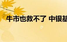 牛市也救不了 中银基金这些产品深陷亏损