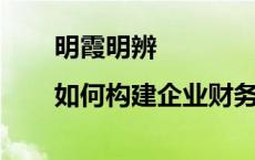 明霞明辨|如何构建企业财务造假综合惩防机制