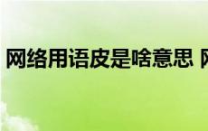 网络用语皮是啥意思 网络用语皮是什么意思 