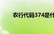 农行代码374是什么意思 农行代码 