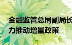 金融监管总局副局长丛林：完善政策体系 加力推动增量政策