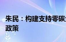 朱民：构建支持零碳金融发展的财政金融协同政策