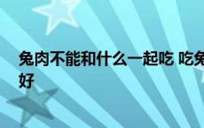 兔肉不能和什么一起吃 吃兔肉的禁忌 兔肉和什么一起炖最好 