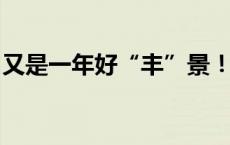 又是一年好“丰”景！全国秋粮已收获59.8%