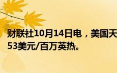 财联社10月14日电，美国天然气期货日内下跌3%，现报2.553美元/百万英热。