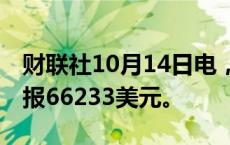 财联社10月14日电，比特币日内涨幅达6％，报66233美元。