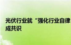 光伏行业就“强化行业自律，防止‘内卷式’恶性竞争”达成共识