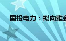 国投电力：拟向雅砻江水电增资78亿元