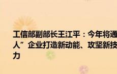 工信部副部长王江平：今年将通过中央财政支持1000多家重点“小巨人”企业打造新动能、攻坚新技术、开发新产品、强化产业链的配套能力