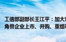 工信部副部长王江平：加大对独角兽企业的金融支持 支持独角兽企业上市、并购、重组等