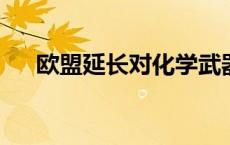 欧盟延长对化学武器扩散和使用的制裁