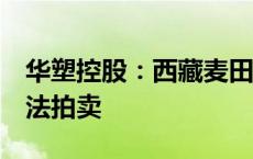 华塑控股：西藏麦田所持18.47%股份将被司法拍卖