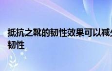 抵抗之靴的韧性效果可以减少达摩二技能的破甲 抵抗之靴的韧性 