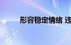 形容稳定情绪 违停司机车内洗头 