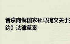 普京向俄国家杜马提交关于批准《俄朝全面战略伙伴关系条约》法律草案