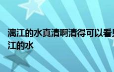 漓江的水真清啊清得可以看见江底的沙石是什么修辞手法 漓江的水 