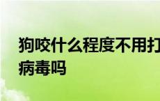 狗咬什么程度不用打针图片 健康狗携带狂犬病毒吗 