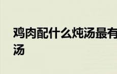 鸡肉配什么炖汤最有营养 蛇肉和鸡肉怎么炖汤 