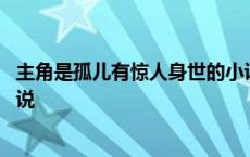 主角是孤儿有惊人身世的小说巅峰公子 主角孤儿变太子的小说 