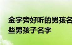 金字旁好听的男孩名字大全 金字旁的字有哪些男孩子名字 