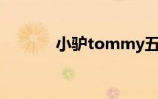 小驴tommy五元人民币 小驴 