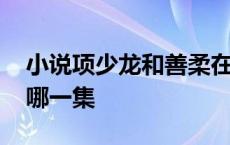 小说项少龙和善柔在一起了吗 项少龙睡善柔哪一集 