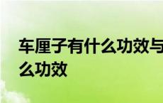 车厘子有什么功效与营养价格呢 车厘子有什么功效 