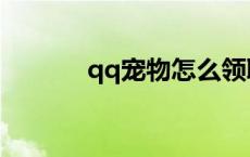 qq宠物怎么领取 qq宠物送信 