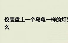 仪表盘上一个乌龟一样的灯亮了是什么 仪表盘乌龟标志是什么 