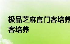 极品芝麻官门客培养多少实力 极品芝麻官门客培养 