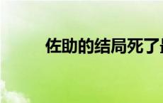 佐助的结局死了最好 佐助的结局 