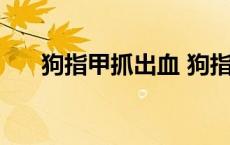 狗指甲抓出血 狗指甲抓伤有一点血丝 