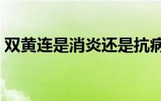 双黄连是消炎还是抗病毒 双黄连颗粒说明书 