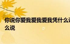 你说你爱我爱我爱我凭什么说歌曲 你说你爱我爱我爱我凭什么说 