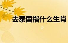 去泰国指什么生肖 去泰国喽打一成语 