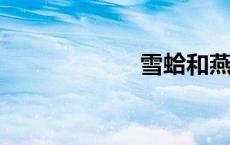 雪蛤和燕窝哪个好