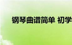 钢琴曲谱简单 初学视频 钢琴曲谱简单 