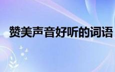 赞美声音好听的词语 形容歌声优美的成语 