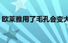 欧莱雅用了毛孔会变大吗 欧莱雅毛孔细嫩乳 