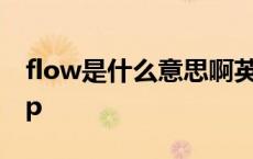 flow是什么意思啊英语 flow是什么意思啊rap 