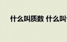 什么叫质数 什么叫合数 20以内的质数 