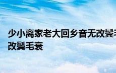 少小离家老大回乡音无改鬓毛衰情感 少小离家老大回乡音无改鬓毛衰 