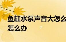 鱼缸水泵声音大怎么办视频 鱼缸水泵声音大怎么办 