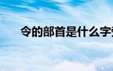 令的部首是什么字旁 令的部首是什么 