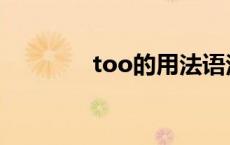 too的用法语法 too的用法 