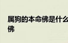 属狗的本命佛是什么佛道场在哪 属狗的本命佛 